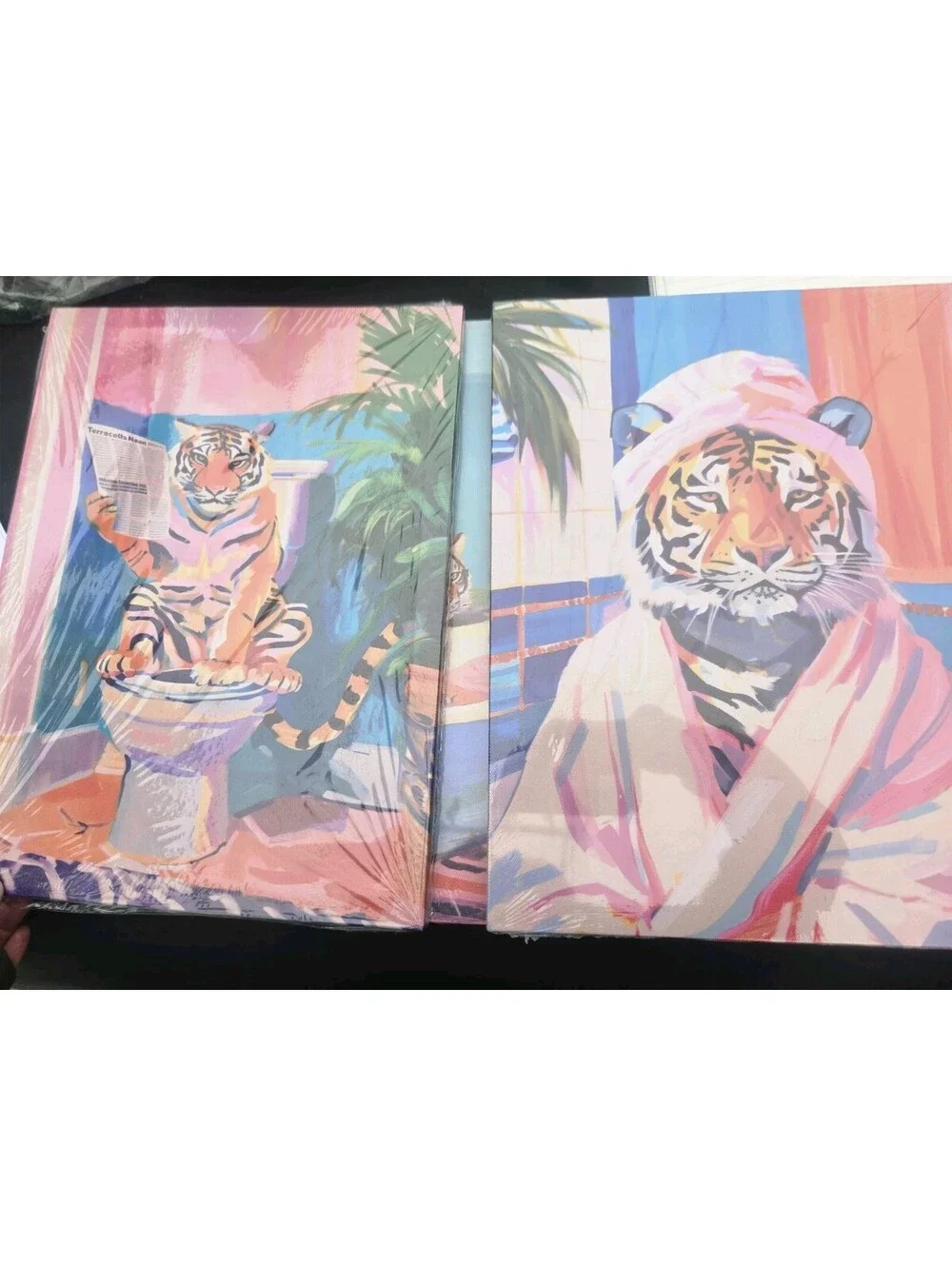 Lion's spa bath picture frames 12 X 16 set of 3